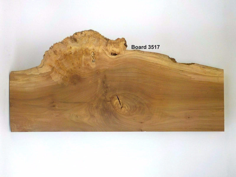 English Burr Elm wood boards