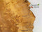 English Burr Elm wood boards