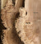 English Burr Elm wood boards