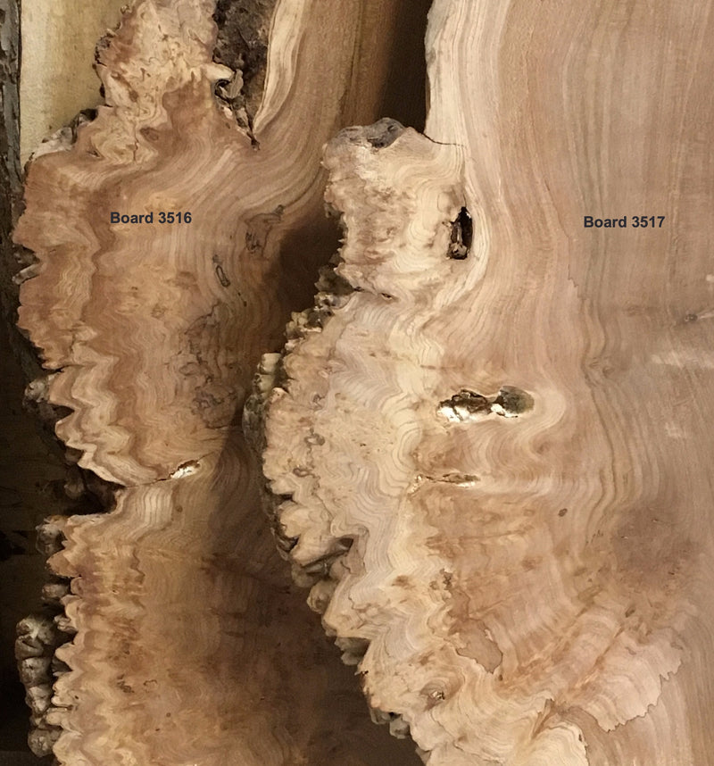 English Burr Elm wood boards