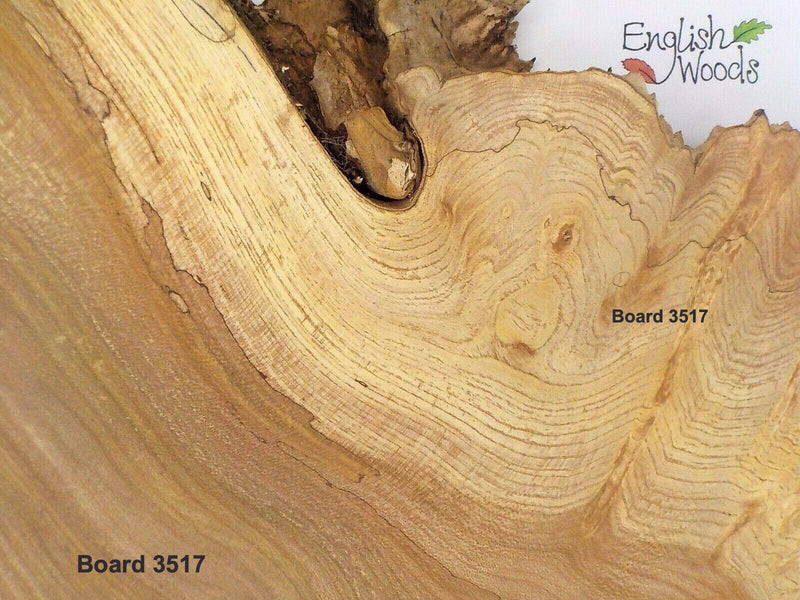 English Burr Elm wood boards