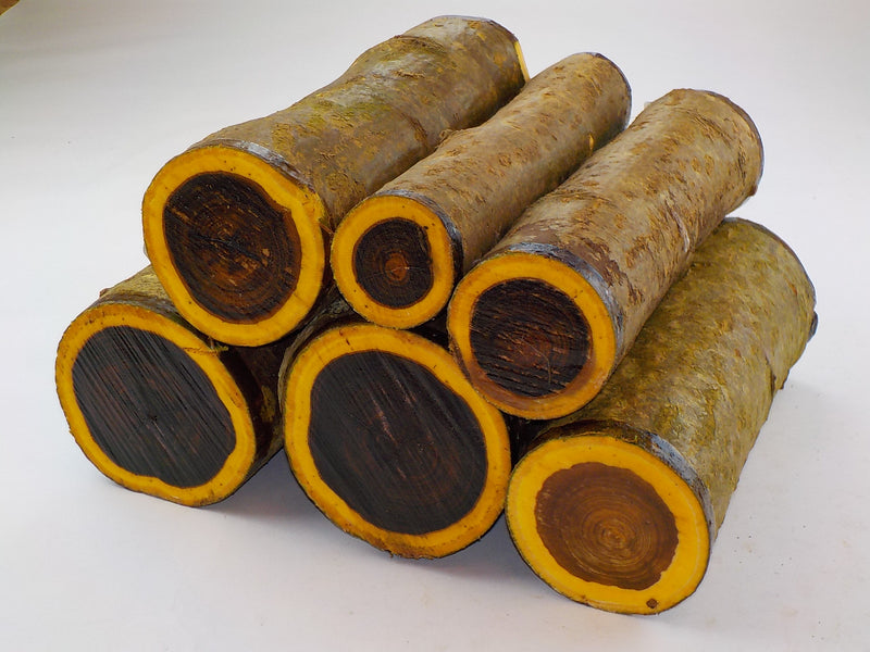 Laburnum Woodturning Log Blanks