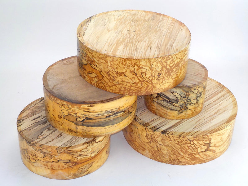 Beautifully Spalted Beech. 90mm (3 1/2") thick bowl blanks