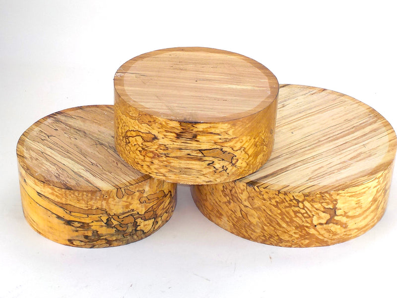 Beautifully Spalted Beech. 90mm (3 1/2") thick bowl blanks