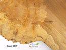 English Burr Elm wood boards