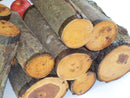 Apple Woodturning Logs (Green)