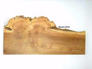 English Burr Elm wood boards