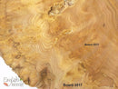 English Burr Elm wood boards