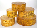 Beautifully Spalted Beech. 90mm (3 1/2") thick bowl blanks