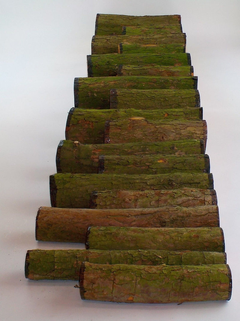 English Yew Woodturning Log Blanks