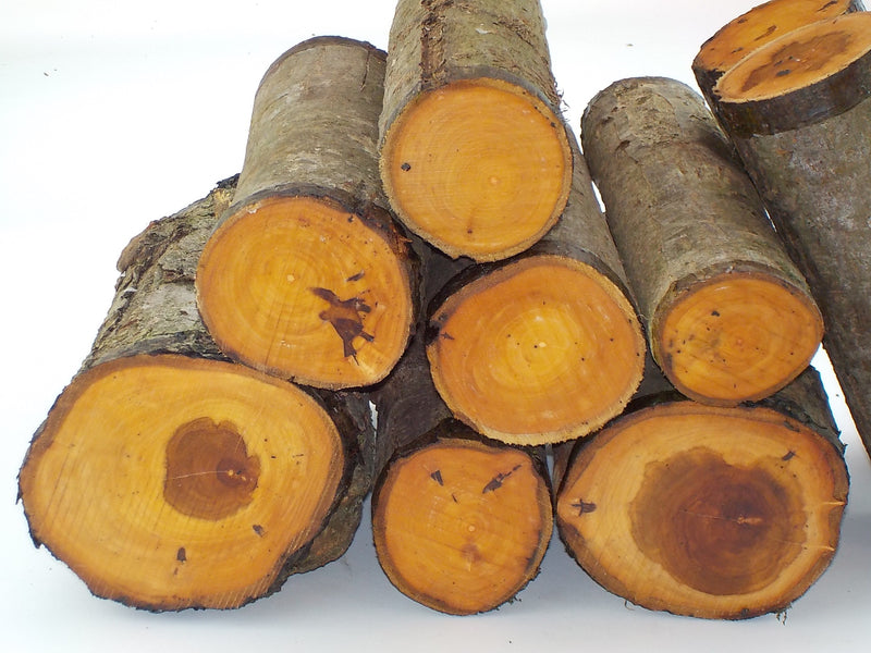 Apple Woodturning Logs (Green)