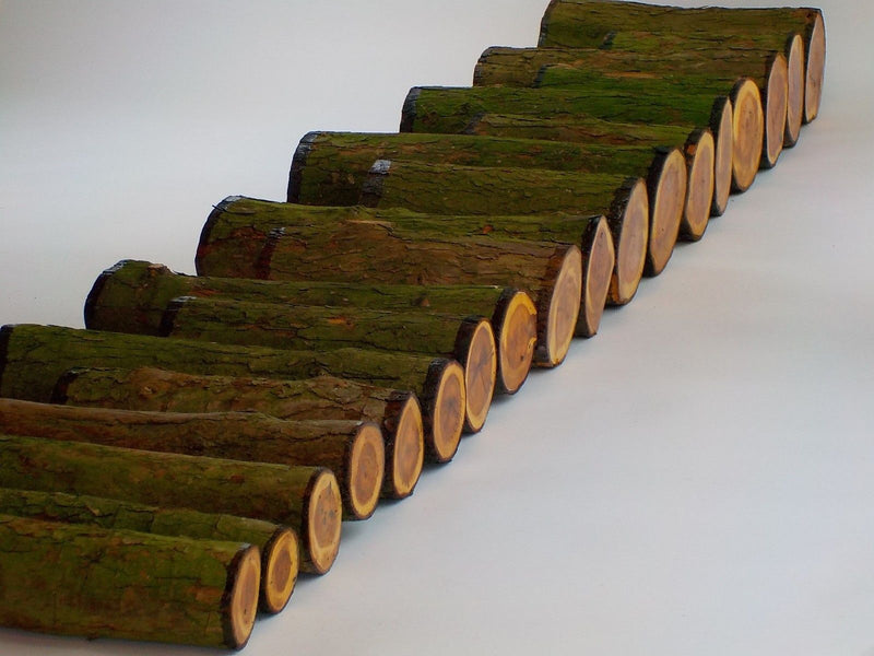 English Yew Woodturning Log Blanks