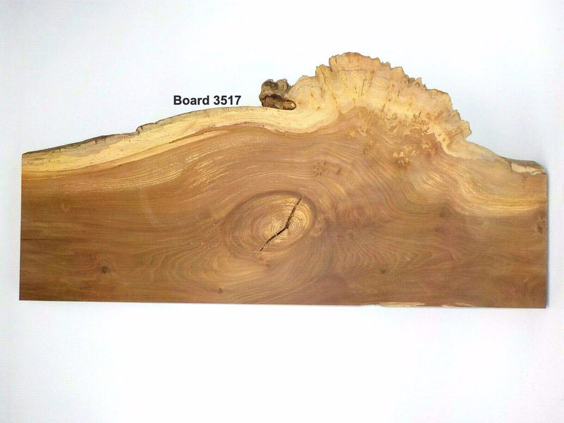 English Burr Elm wood boards
