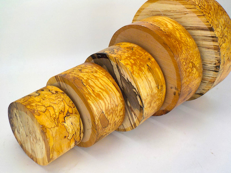 Beautifully Spalted Beech. 90mm (3 1/2") thick bowl blanks