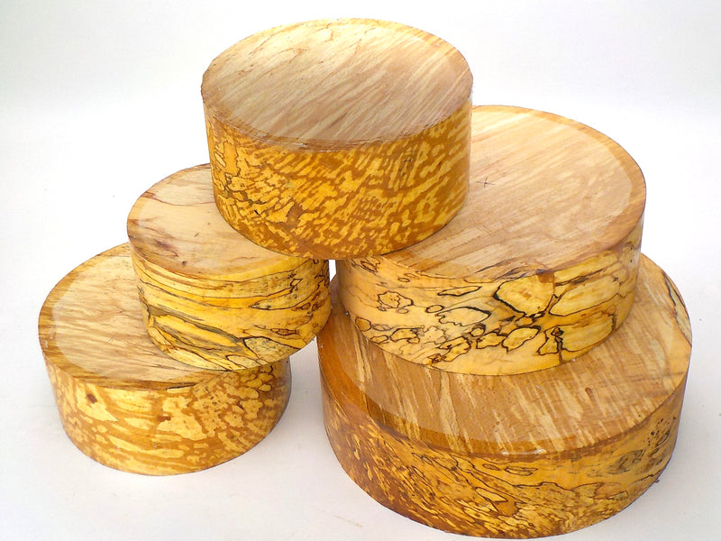 Beautifully Spalted Beech. 90mm (3 1/2") thick bowl blanks