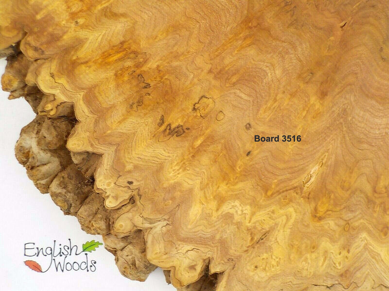 English Burr Elm wood boards