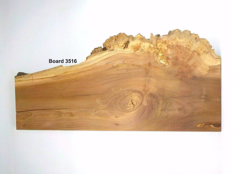 English Burr Elm wood boards