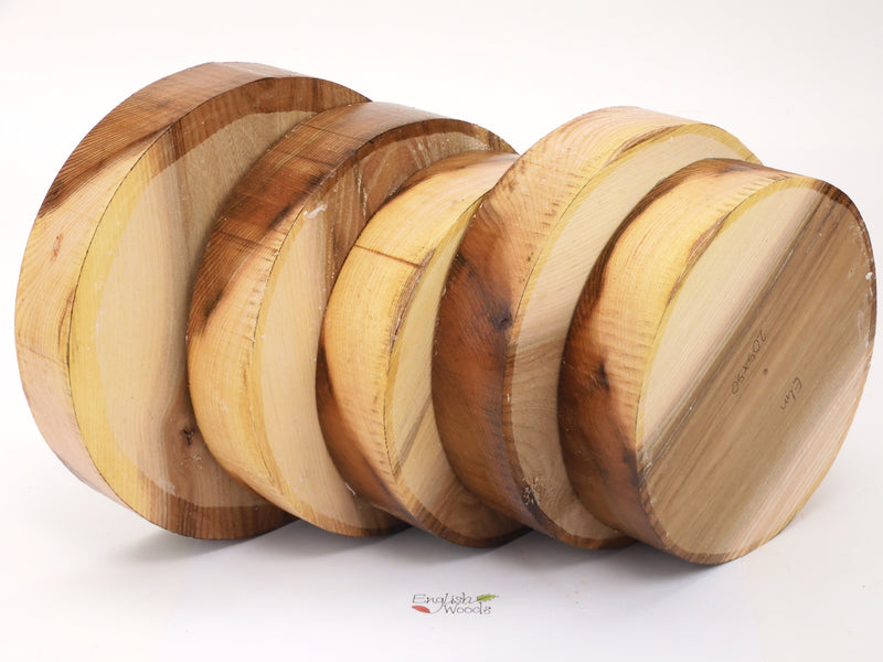 Two Tone Elm Bowl Blanks