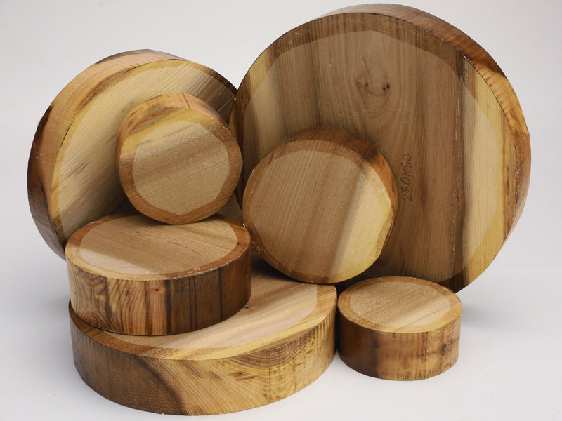 Two Tone Elm Bowl Blanks