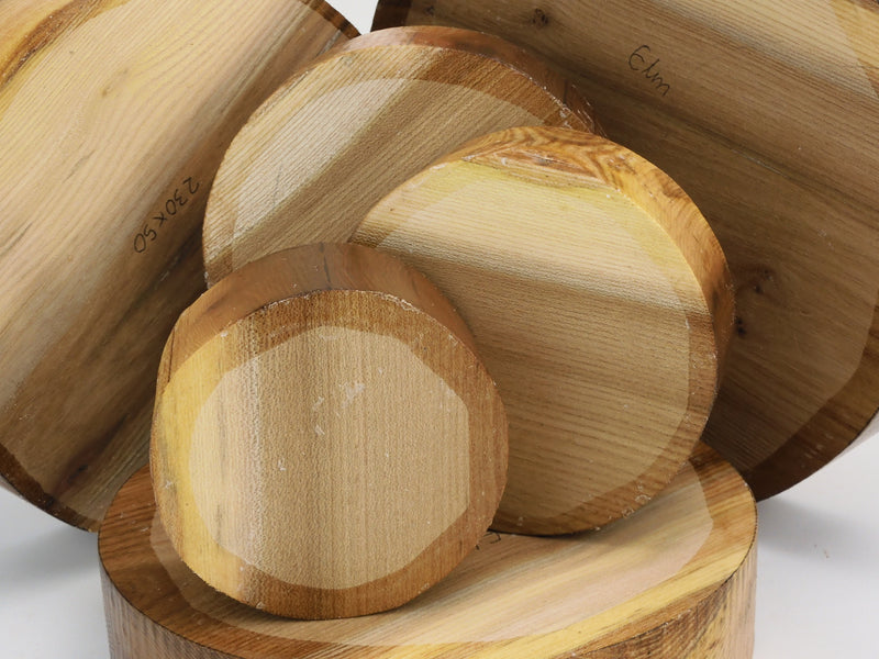 Two Tone Elm Bowl Blanks