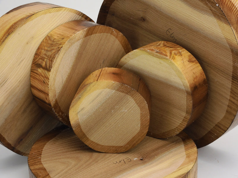 Two Tone Elm Bowl Blanks